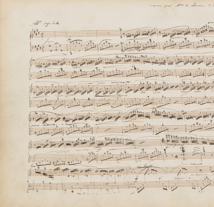 Discover Chopin's handwritten manuscripts