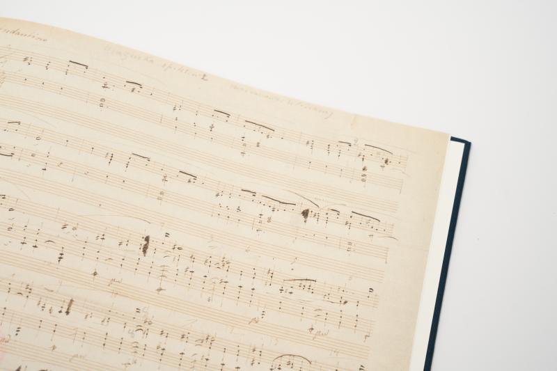 Frederic Chopin by Stanislas Stattler: Buy fine art print